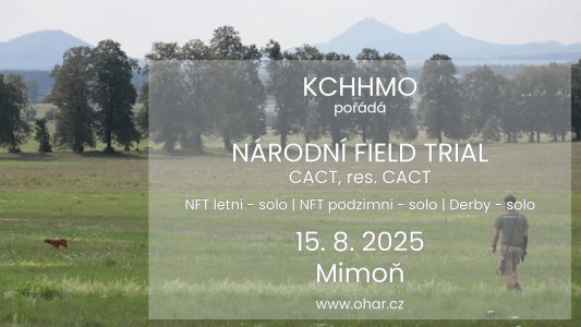 Pozvánka - Klubový NFT