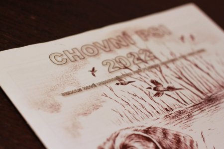 Katalog nových chovný psů