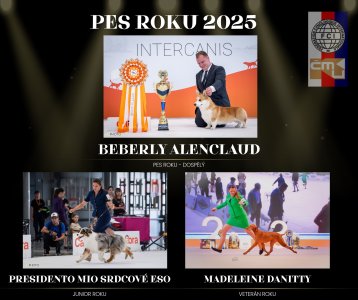 ČMKU Pes roku 2025