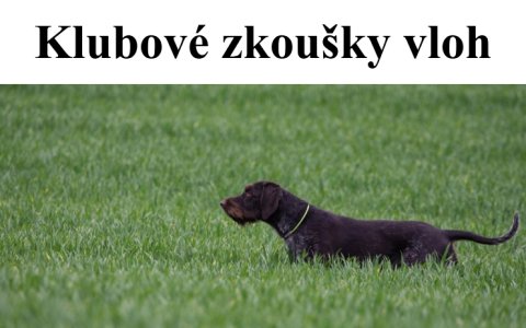 KZV Ludslavice - prodloužení uzávěrky