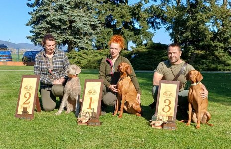 Výsledky - KZV Ludslavice