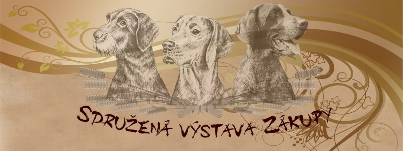 Prodloužení uzávěrky na výstavu v Zákupech