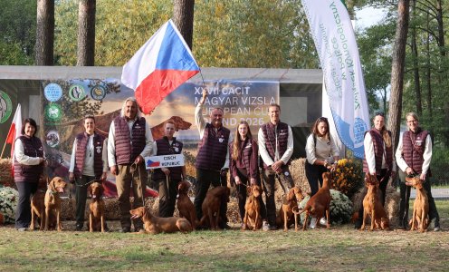 XXVII CACIT Magyar Vizsla European Cup 7.-10.10. 2026