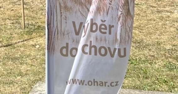 Pozvánka - VDCH Keblov 24. 10. 2026